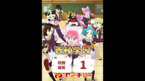 西顿学园在线观看,在线观看，探索青春校园的温暖与成长